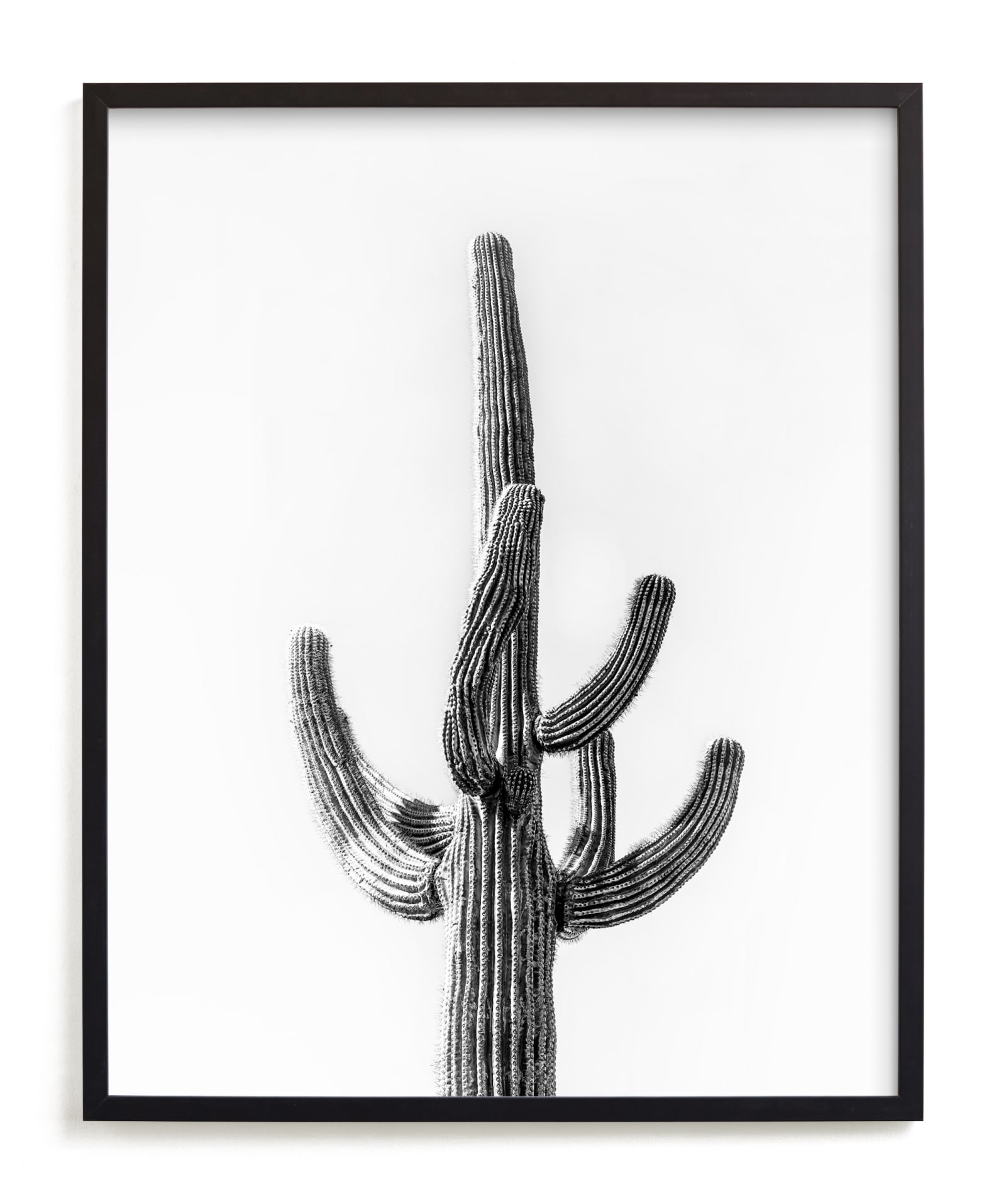 Lone Cactus Limited Edition Fine Art Print 2 - Image 0