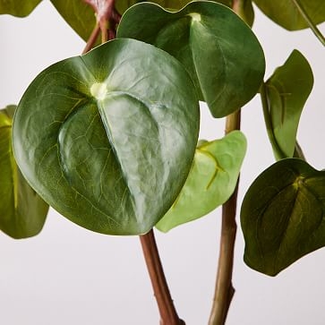 Faux Potted Pilea Peperomiodes, 23.5" - Image 1