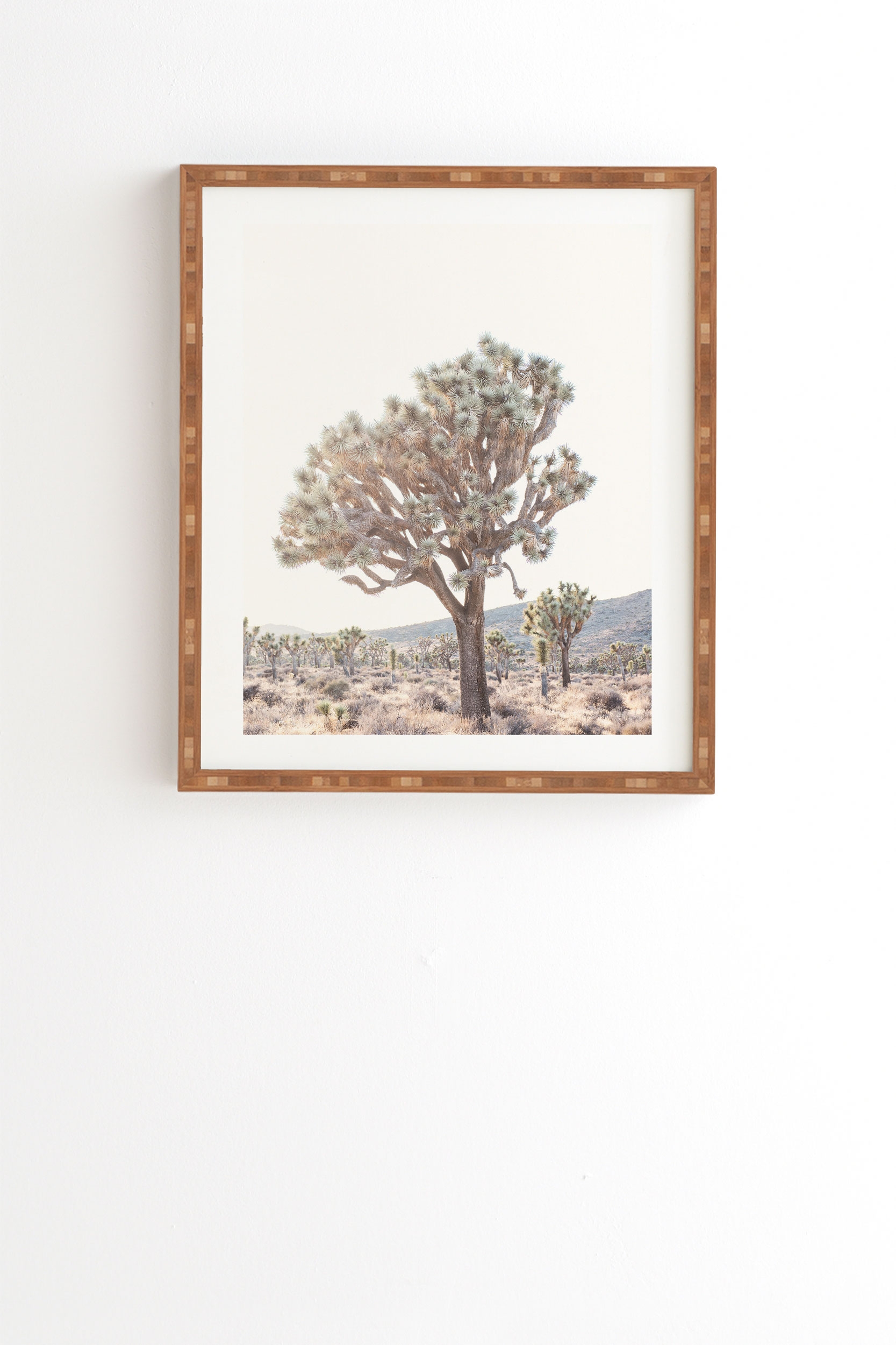 Desert Light by Bree Madden - Framed Wall Art Bamboo 20" x 20" - Image 0