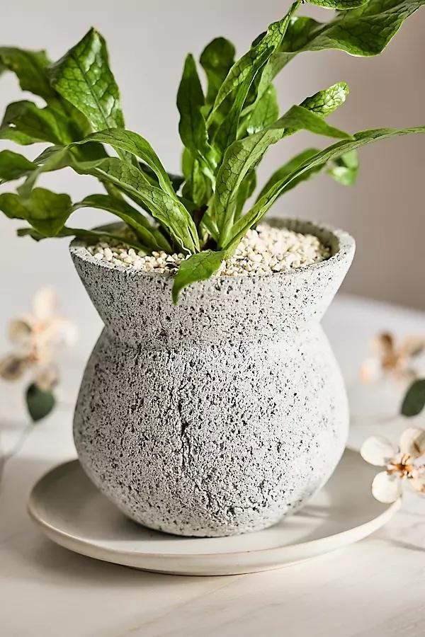 Pumice Pinched Rim Planter, Tall - Image 0