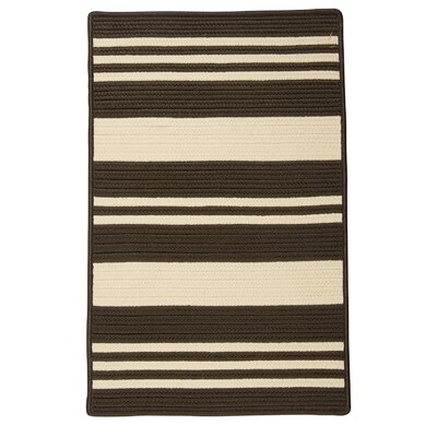 Fuse Striped Braided Dark Brown/Beige Indoor / Outdoor Area Rug - Image 0