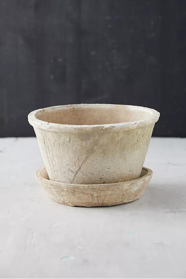 Earth Fired Clay Thin Rim Pot + Saucer Set - Image 0