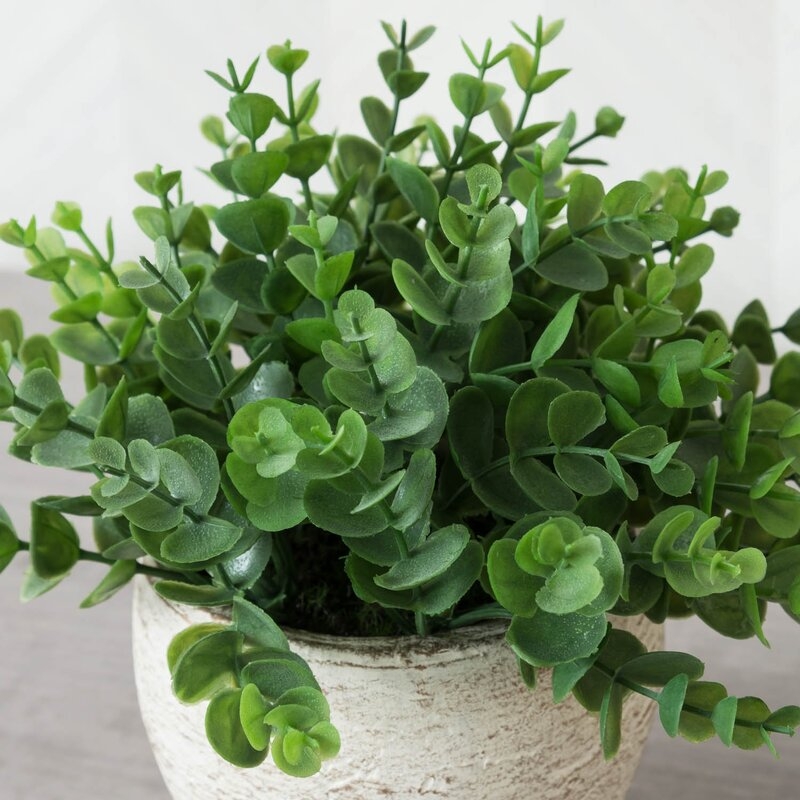 Faux Succulent Plant in Pot - Image 3