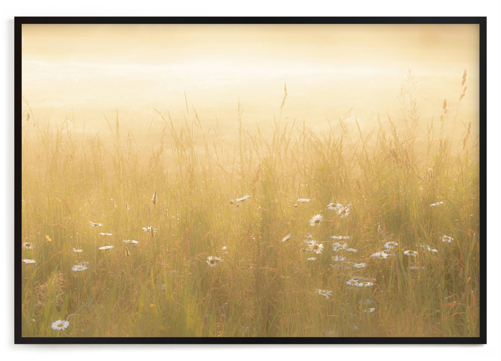 Golden Meadow Limited Edition Fine Art Print 2 - Image 0