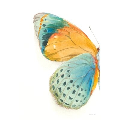 Fragile Wings I by Danhui Nai - Wrapped Canvas Painting Print - Image 0