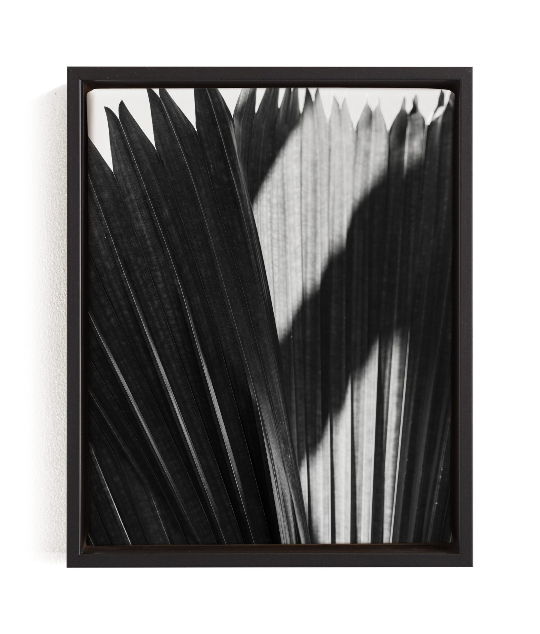 Palmery 2 Limited Edition Fine Art Print 1 - Image 0