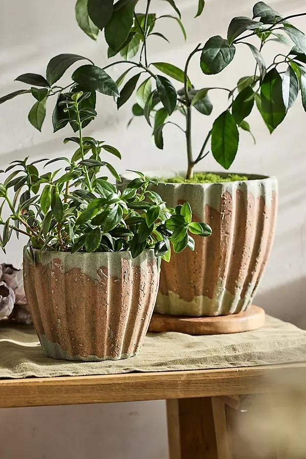 Ribbed Terracotta Taper Pot - Image 0
