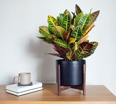Modern Ceramic Planters with Wooden Stand, Black - Small - Image 1