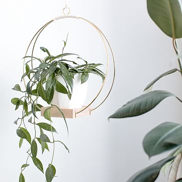 Plant Hanger, Small - Image 2