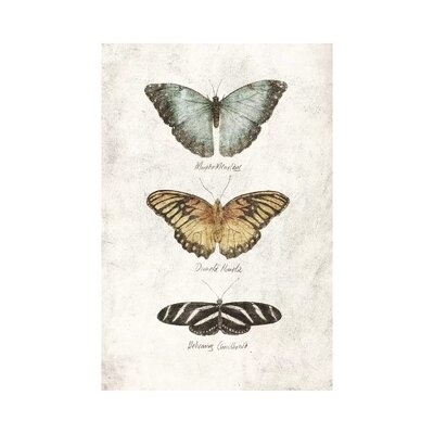 Butterflies I by Mike Koubou - Wrapped Canvas Graphic Art Print - Image 0