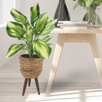 22" Artificial Foliage Plant In Basket - Image 1