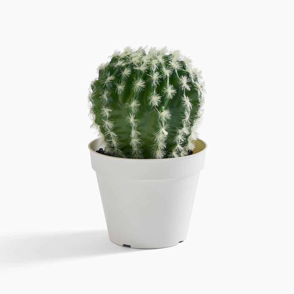 Faux Potted Powderpuff Cactus Plant, 8'' - Image 0