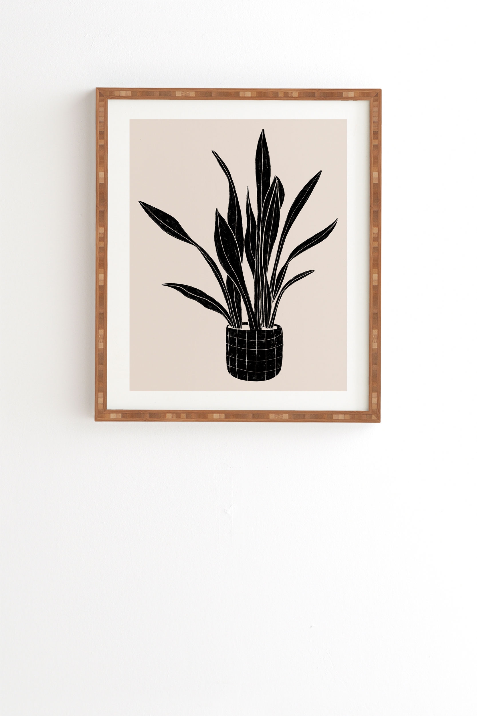 Black And White Snake Plant by Alisa Galitsyna - Framed Wall Art Bamboo 12" x 12" - Image 1
