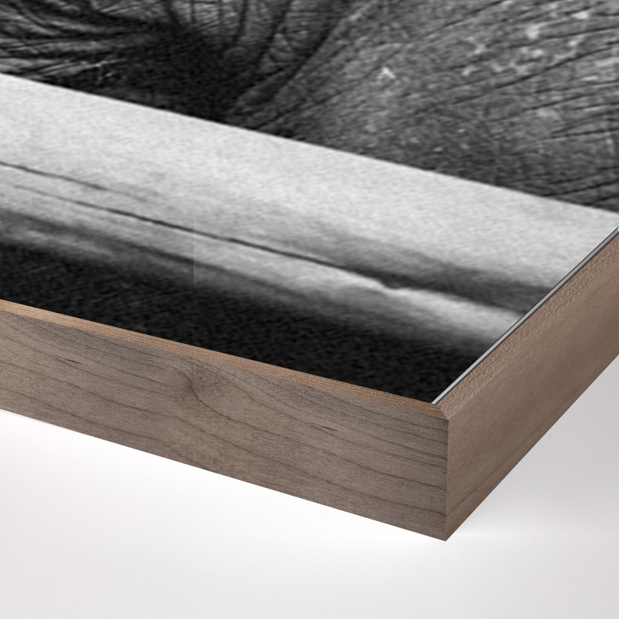 Tough Skin by Wesley and Emma Teague - Rustic Walnut Floater - Image 1