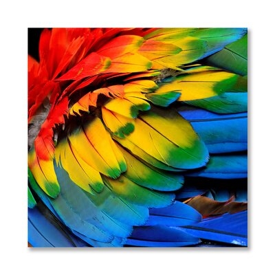 Animal Art - "Rainbow Feathers Two" Animal Art Print On Square Acrylic - Image 0