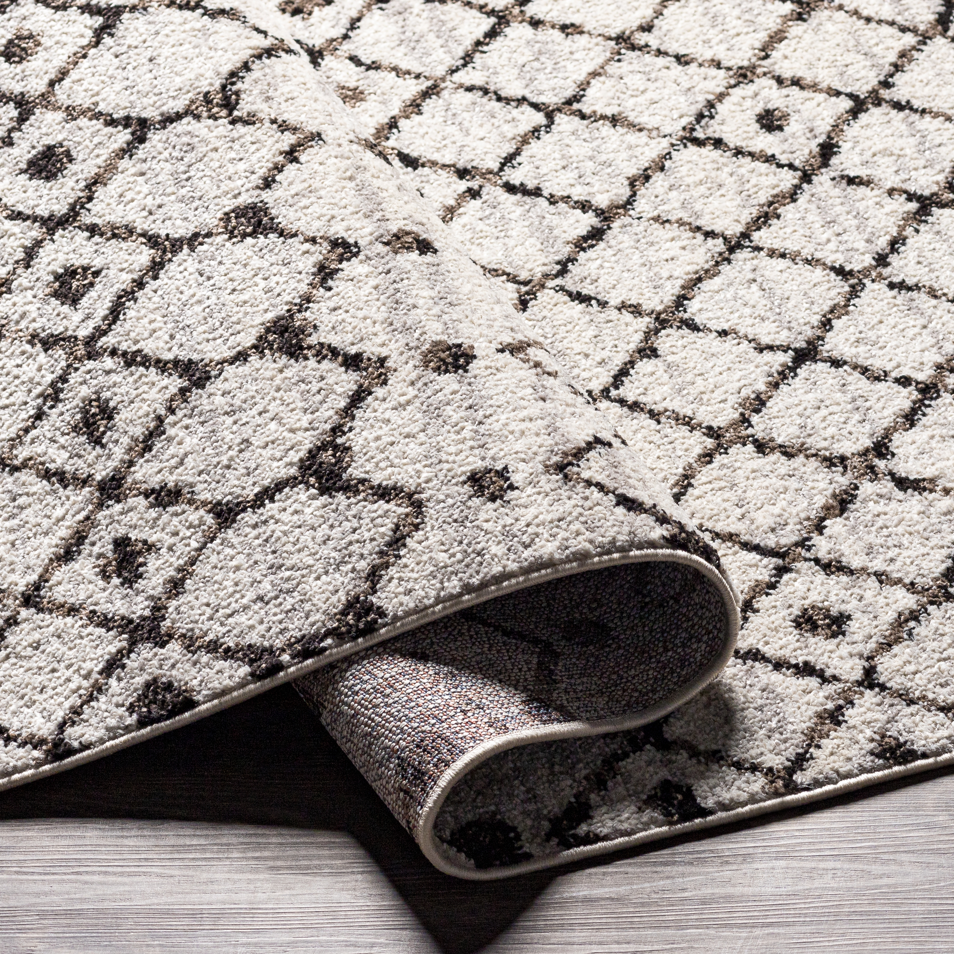 Blackburn Black Indoor 6'7" x 9' Machine Woven Rug - Image 3