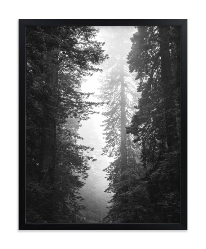 Redwood Morning Limited Edition Fine Art Print 1 - Image 0