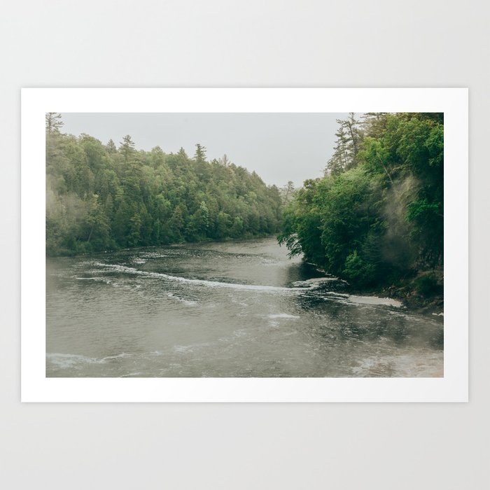 Poetry Of A Northern Forest Art Print by Olivia Joy St Claire X  Modern Photograp - Small - Image 0