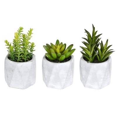 3 Artificial Succulent in Pot Set - Image 0