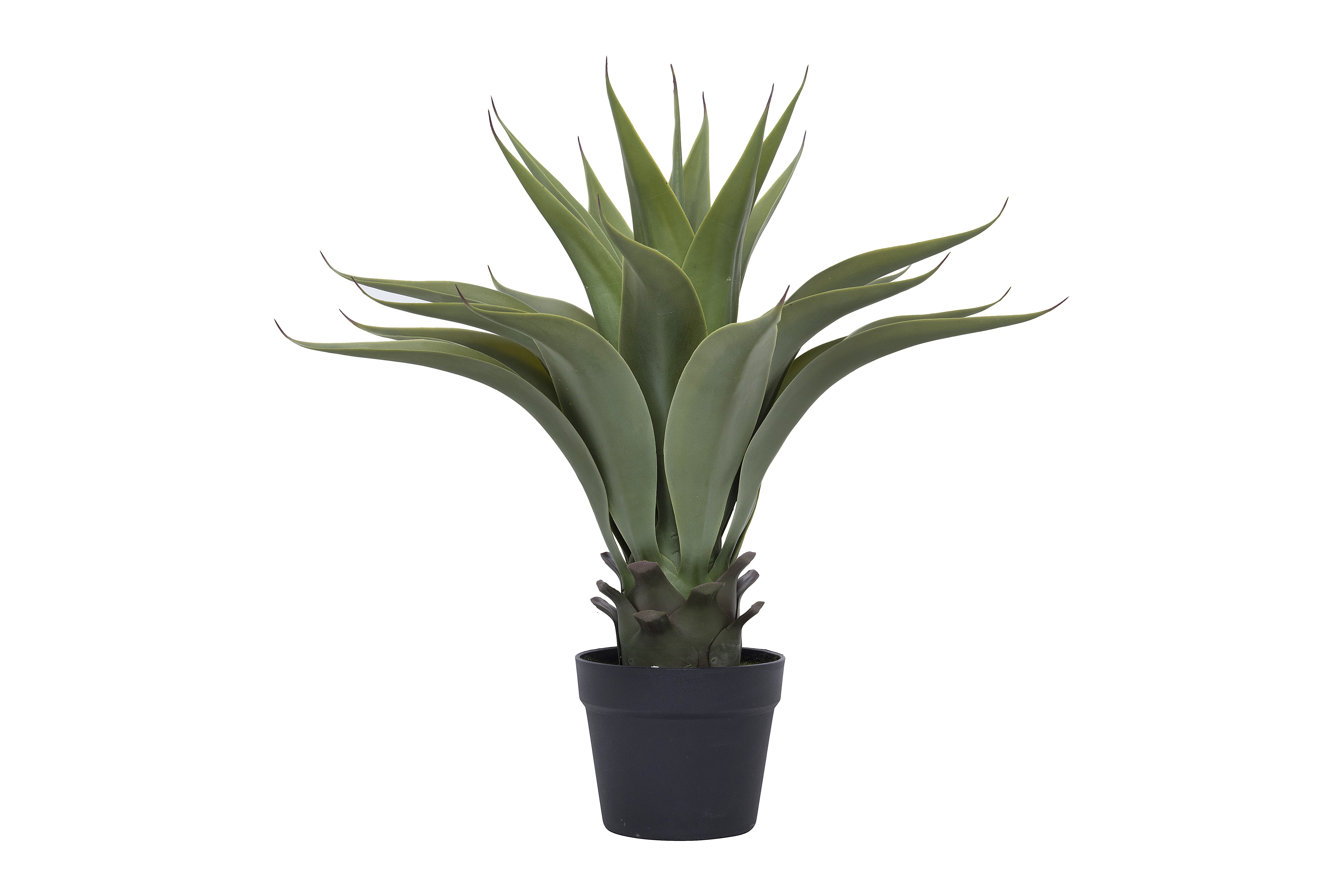 Faux Agave Plant in Pot - Image 0