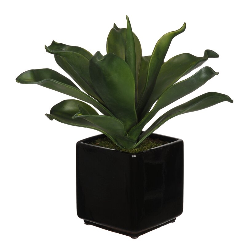 Faux Foxtail Agave Eva Succulent, Black Ceramic Vase, 15" - Image 1