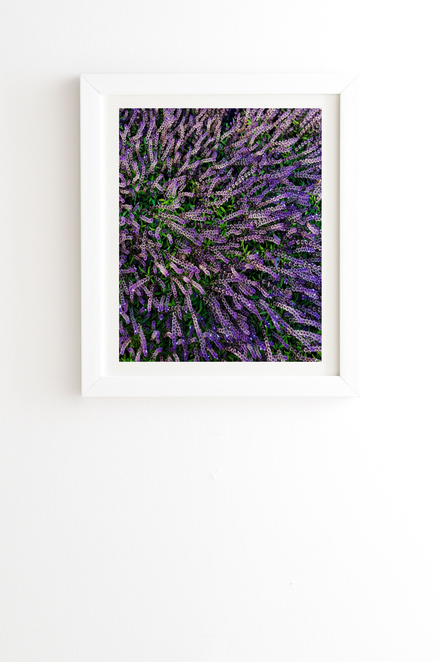 Purple Gardens by Chelsea Victoria - Framed Wall Art Basic White 8" x 9.5" - Image 0