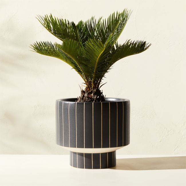 Komo Matte Black Striped Ceramic Indoor/Outdoor Planter Small - Image 0