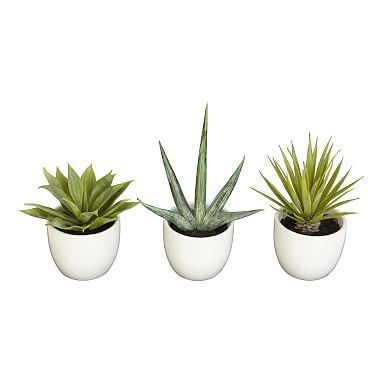 Faux Potted Southwest Plants, Set of 3 - Image 0