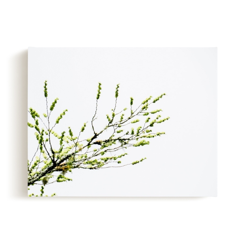 Sun Seeking Limited Edition Fine Art Print 1 - Image 0