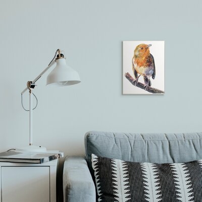Orange European Robin Perched Bird Portrait - Image 0