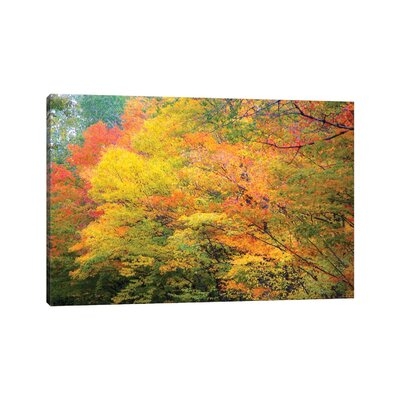 Fall Colors by Kevin Clifford - Wrapped Canvas Gallery-Wrapped Canvas Giclée - Image 0