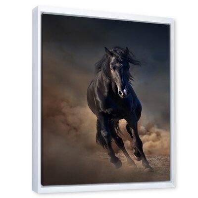 Portrait Of Thoroughbred Nonius Stallion Horse I - Farmhouse Canvas Wall Art Print - Image 0