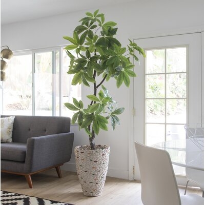 Real Touch Indoor/Outdoor Pachira Aquat Tree in Planter - Image 0