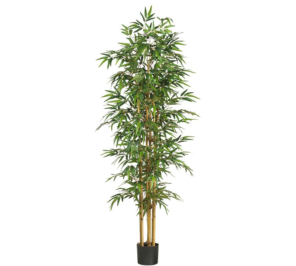 Faux Bamboo Silk Tree, 75" - Image 0