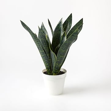 Faux Potted Snake Plant - Image 0