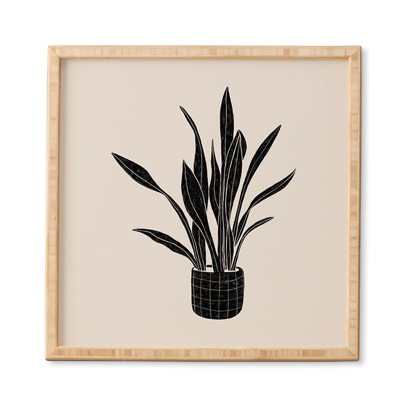 Black And White Snake Plant by Alisa Galitsyna - Framed Wall Art Basic Black 30" x 30" - Image 0