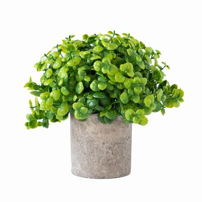 7" Artificial Eucalyptus Plant in Pot - Image 0