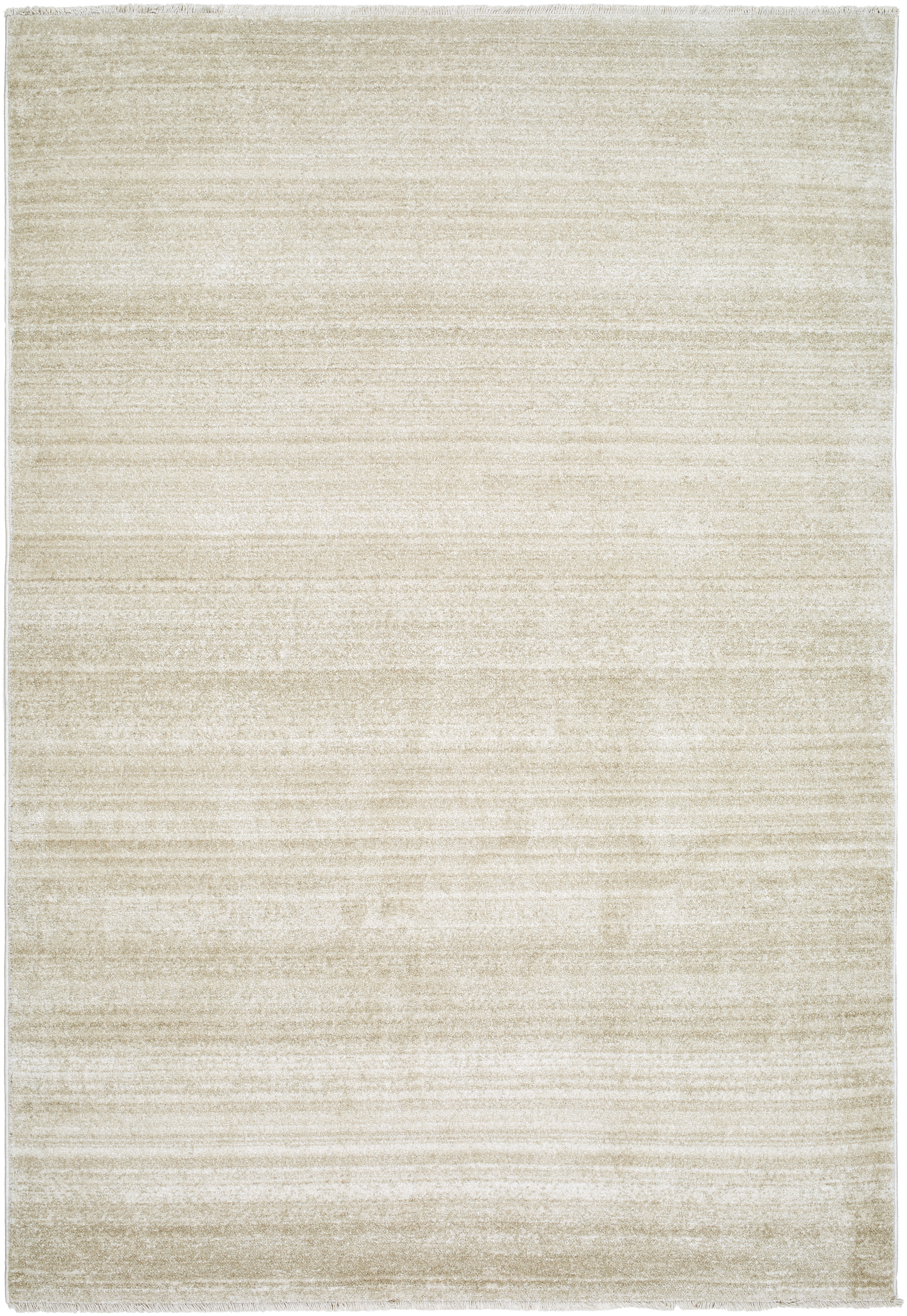 Rojin Beige Indoor 9' x 12'7" Machine Woven Rug - Image 0