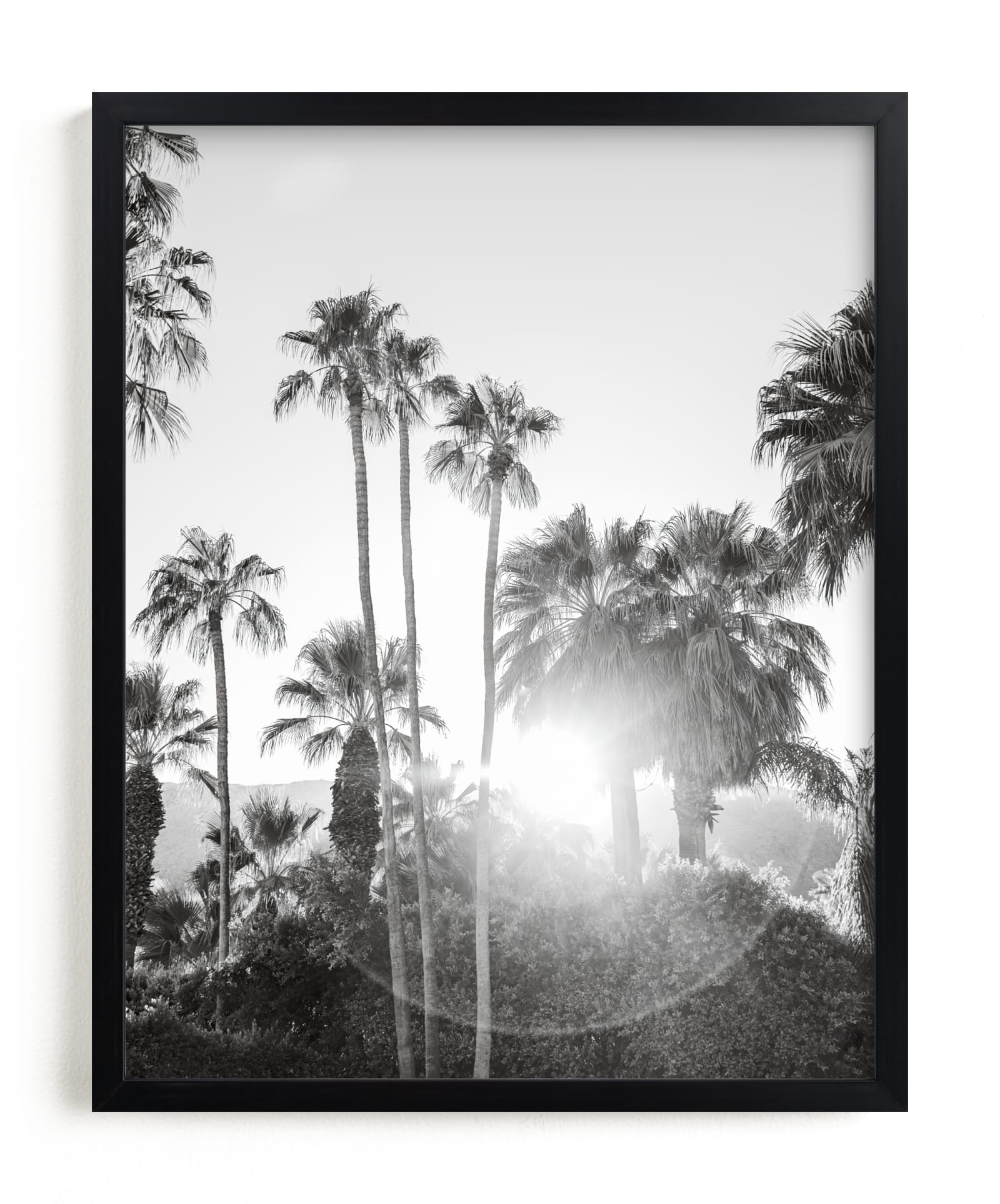 Sunflare Palms Limited Edition Fine Art Print 2 - Image 0