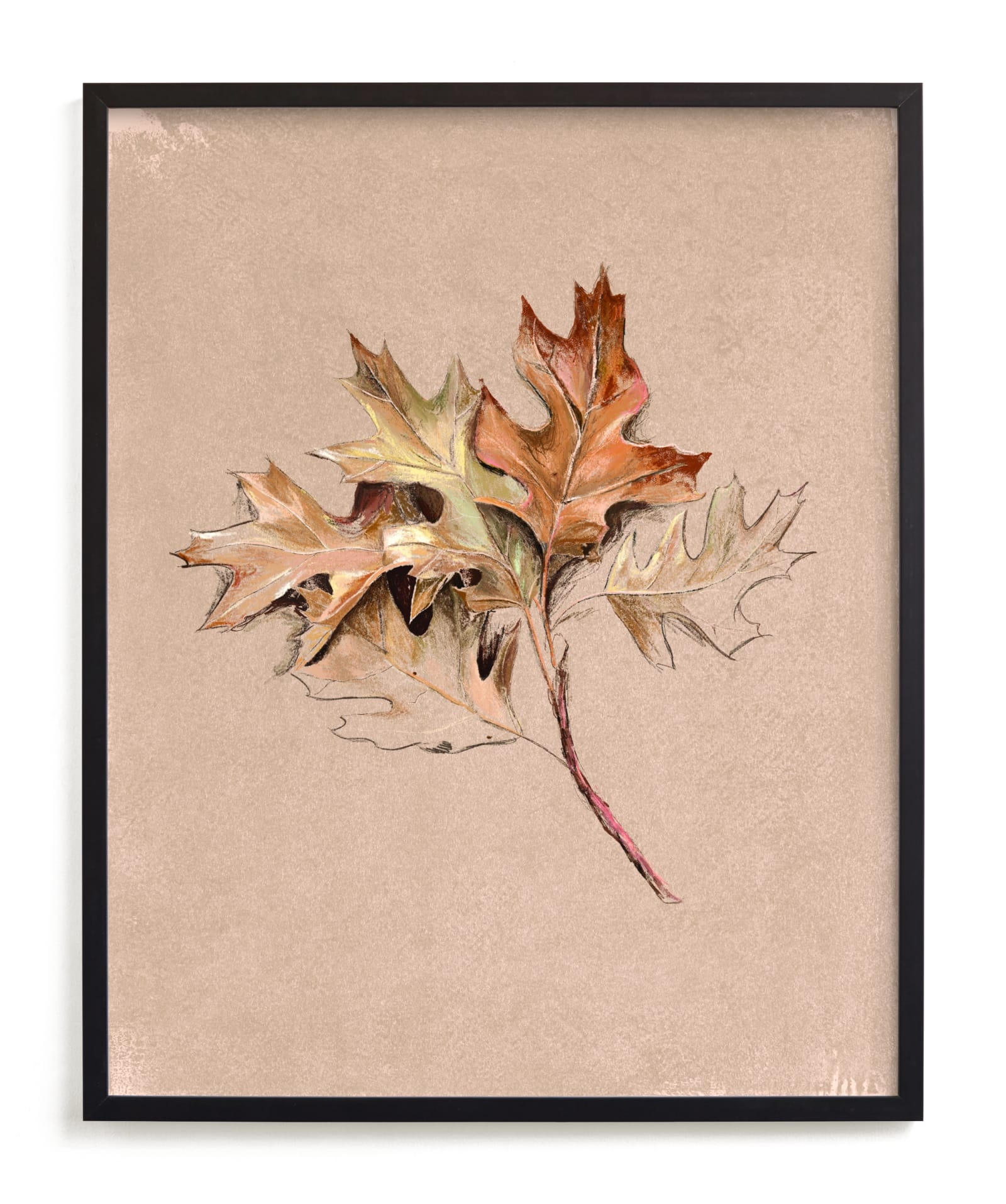 Leaf Study Limited Edition Fine Art Print 2 - Image 0