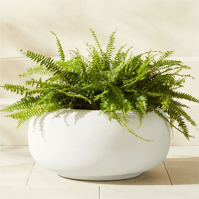 Anique Round White Cement Indoor/Outdoor Planter Short - Image 0
