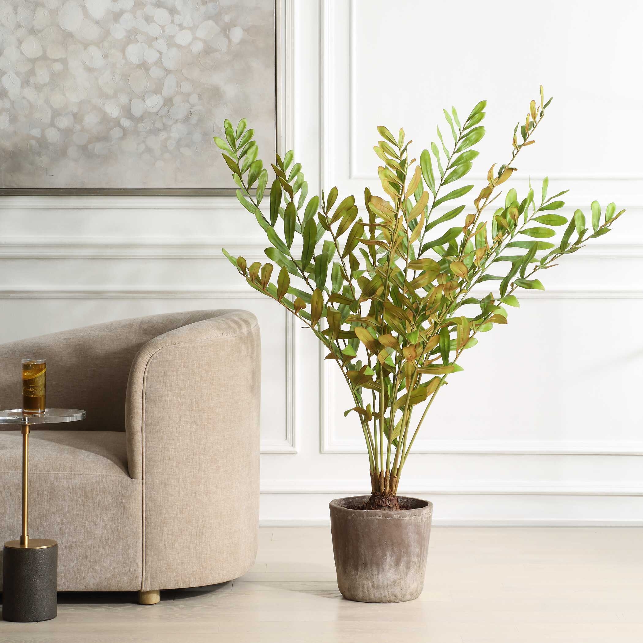Zamia Palm Accent In Planter - Image 1