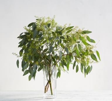 Live Seeded Eucalyptus Branches, 3 Bunches - Image 2
