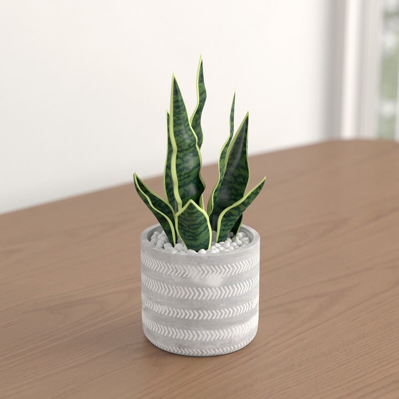 6.5" Faux Snake Plant in Pot - Image 2