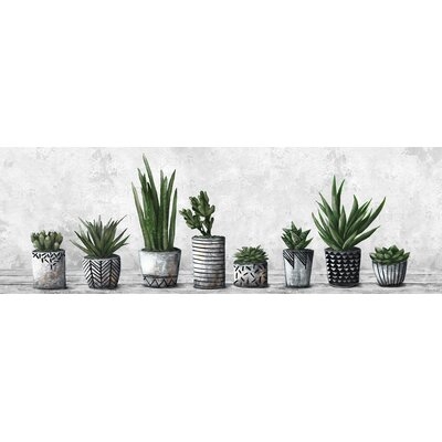 'Amazing Pile of Succulents' Wrapped Canvas - Print on Canvas - Image 0