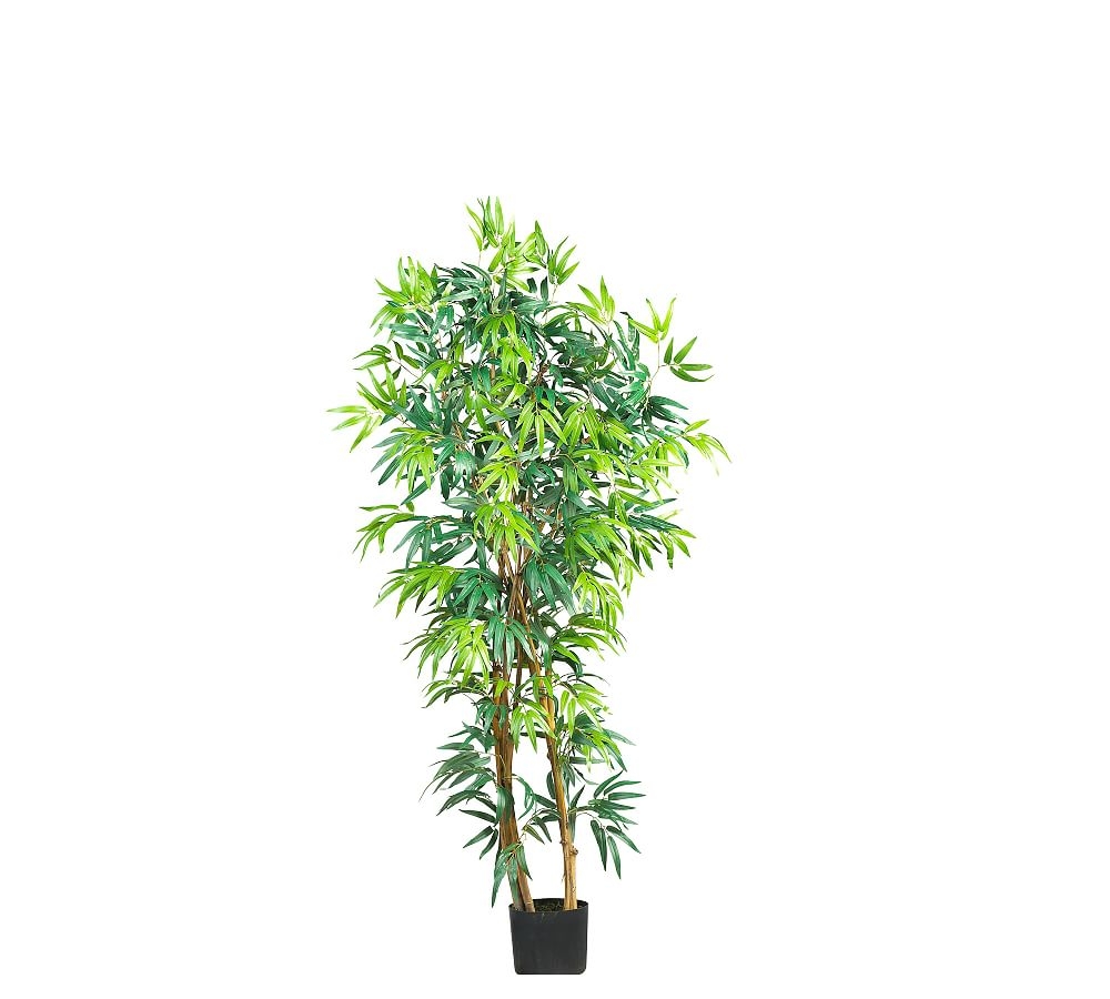 Faux Curved Bamboo Tree, 5' - Image 0