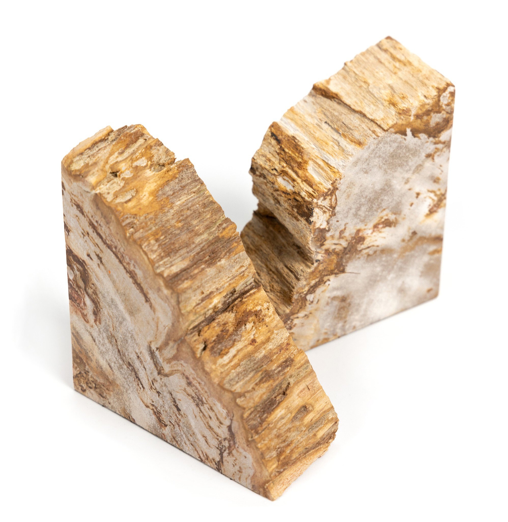 Petrified Wood Book Ends - Light Petrified Wood - Image 7