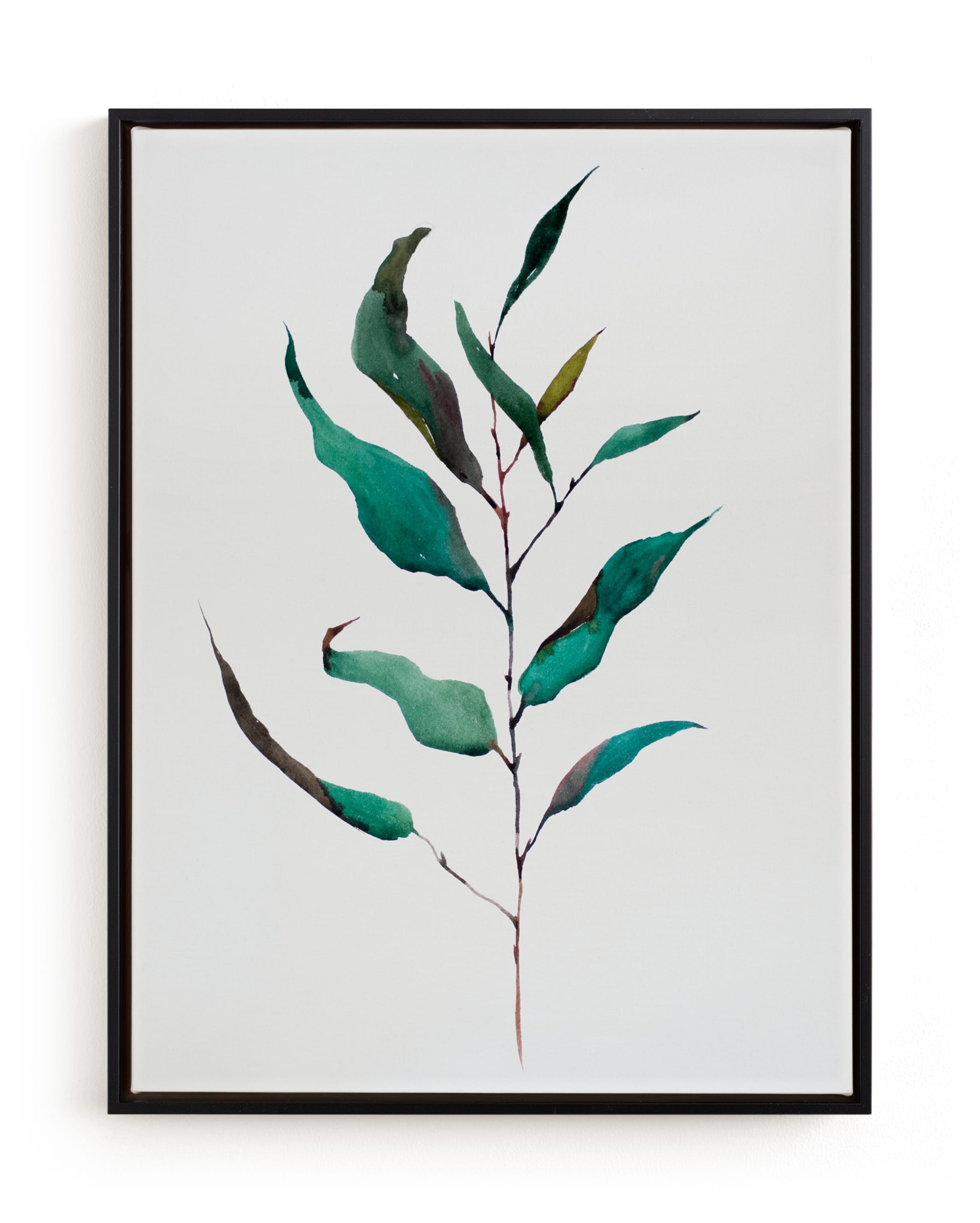 Eucalyptus Foliage Limited Edition Fine Art Print 1 - Image 0
