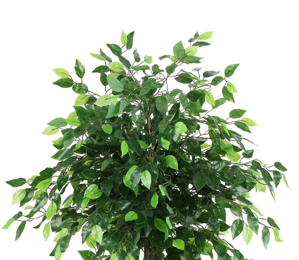 Safavieh Faux 55" Potted Bushficus Tree - Image 2