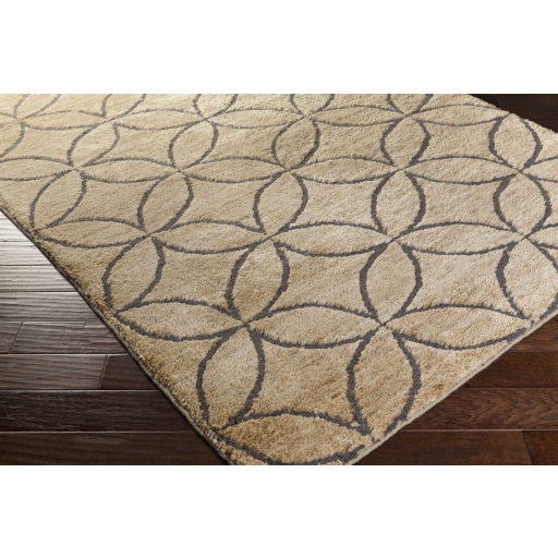 Papyrus Beige Indoor 3'3" x 5'3" Handmade Rug - Image 0